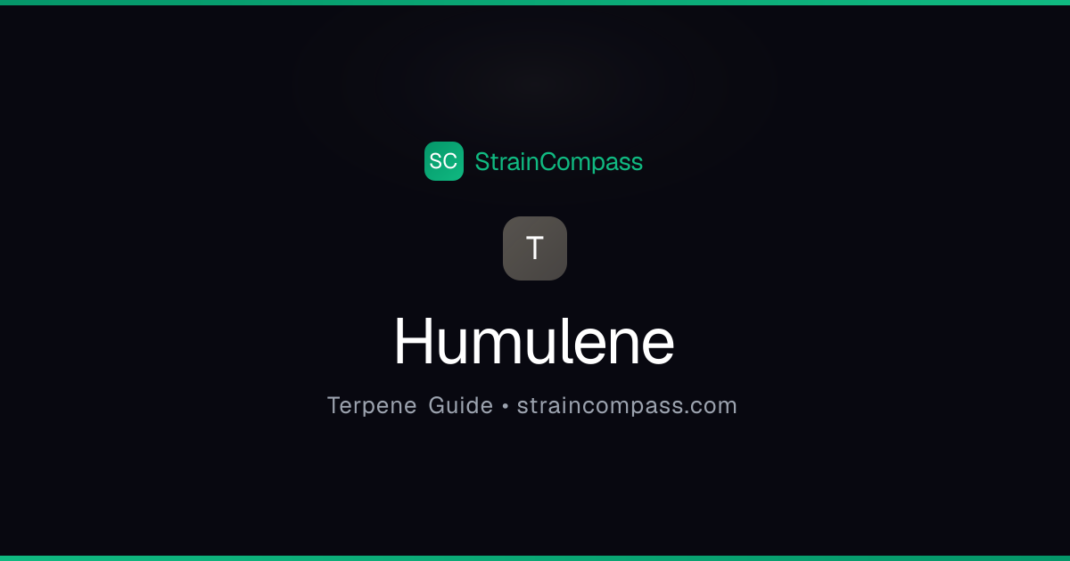 Humulene Strains: Effects, Benefits & Top Picks | StrainCompass